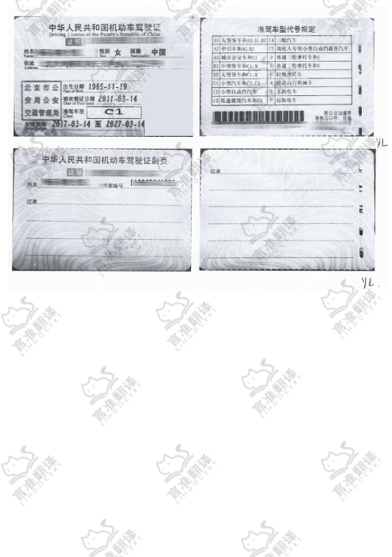 加拿大STIBC驾照翻译