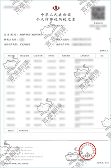 加拿大STIBC纳税记录翻译