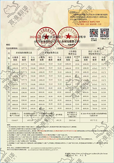 加拿大STIBC社保缴费证明翻译