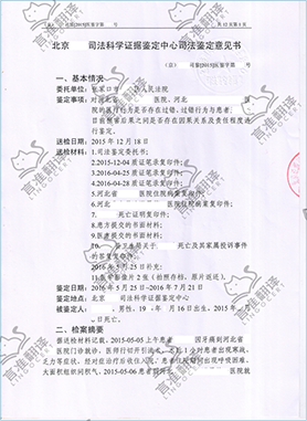 加拿大STIBC司法鉴定意见翻译
